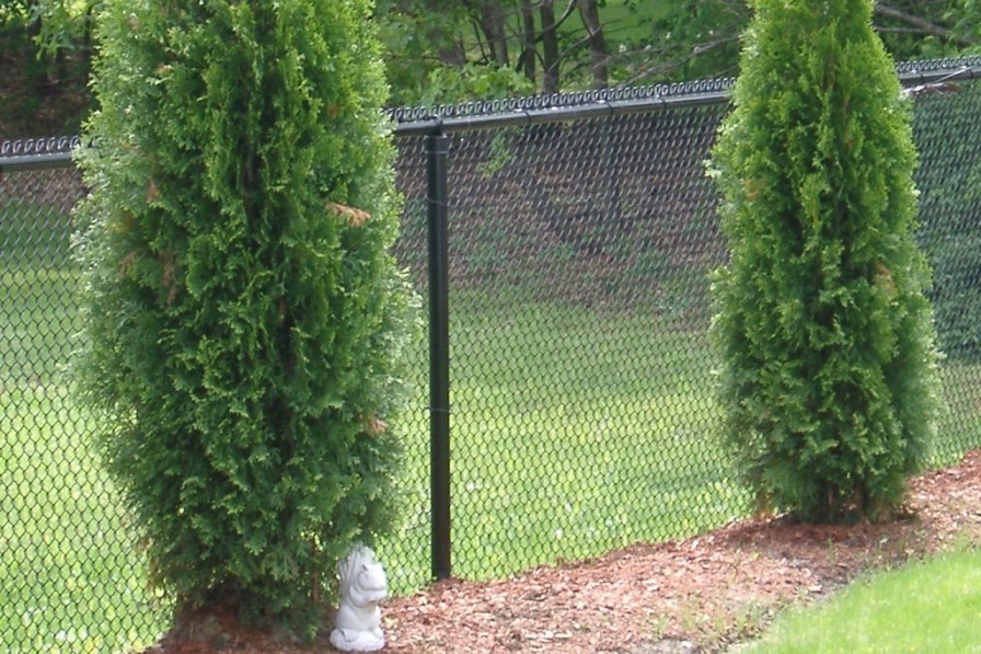 HP6 Residential Chain Link