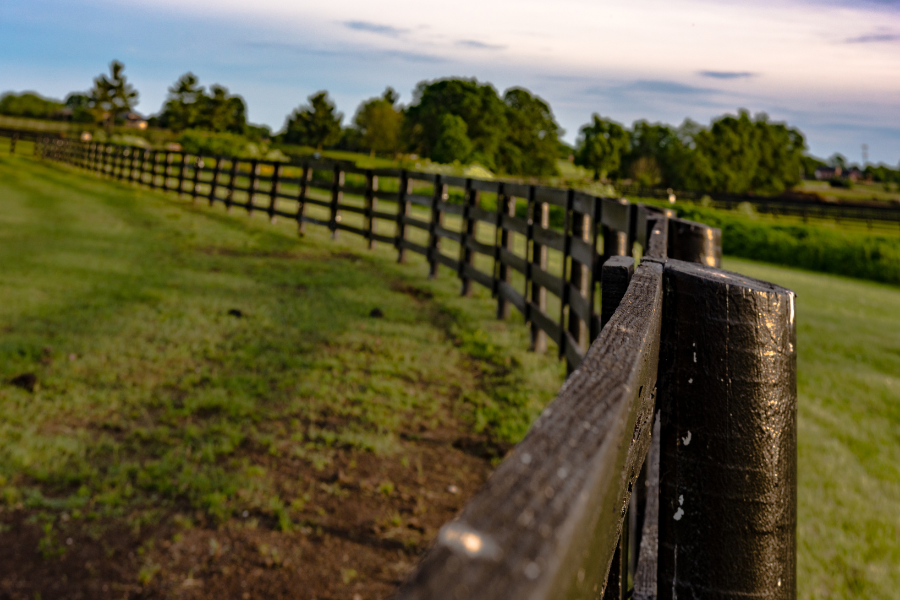 Railings Installation